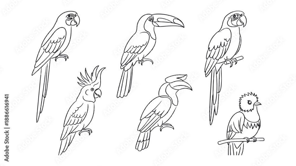 Fototapeta premium Line Art of Exotic Birds: Intricate line art showcases a stunning collection of exotic birds, each uniquely detailed.