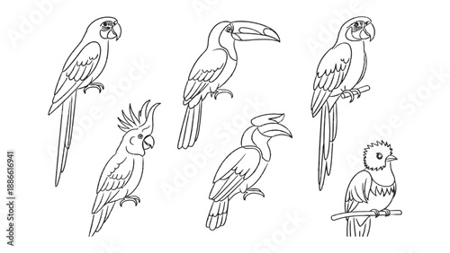 Line Art of Exotic Birds: Intricate line art showcases a stunning collection of exotic birds, each uniquely detailed.