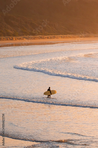 View of a lone surfer, carrying their board, wading through the gentle waves at golden hour on a sandy beach, Lorne, Victoria, Australia.