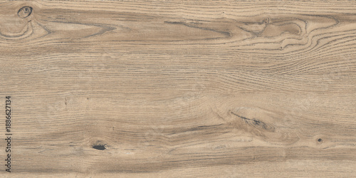 wooden texture background old wood