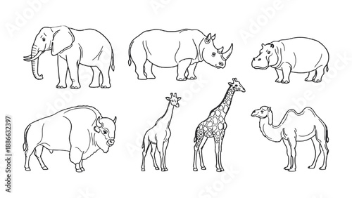 Canvas Print Animal Outlines: A collection of various wild animal outlines, perfect for educational and illustrative purposes