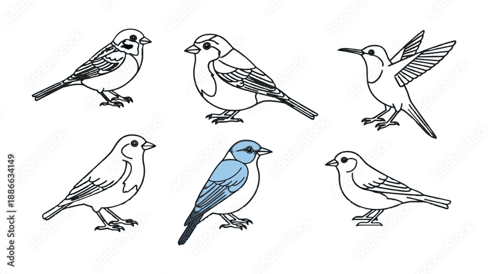 Fototapeta premium Sketchbook Flight: An elegant collection of six unique birds, captured in detailed line art, each poised and graceful. A celebration of avian diversity, rendered with an artistic flair.