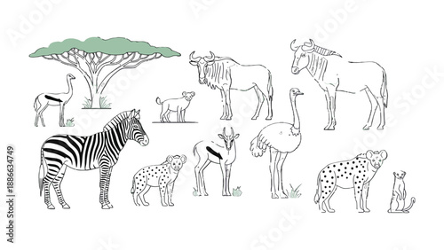 Diverse African Wildlife Illustration: A stylized illustration showcases a variety of African animals. The detailed monochrome artwork features each animal against a clean backdrop.