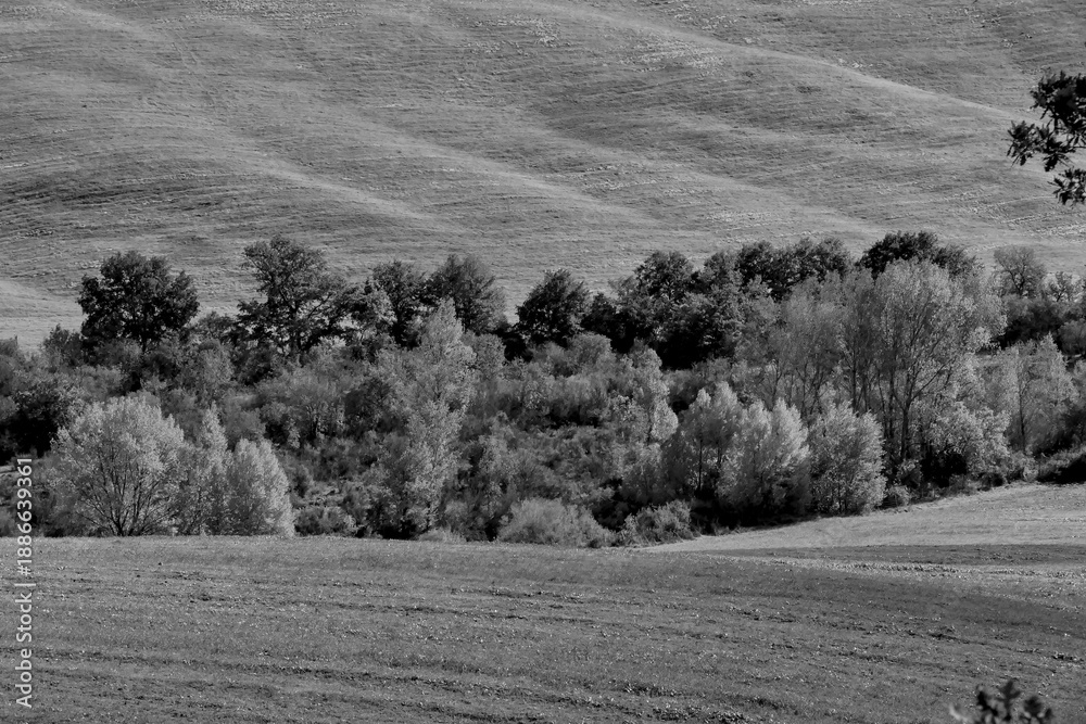 Obraz premium Italia panorami della Toscana in bianco e nero. Provincia di Siena,Val D'Orcia e Chianti Senese. Toscana, Italia 