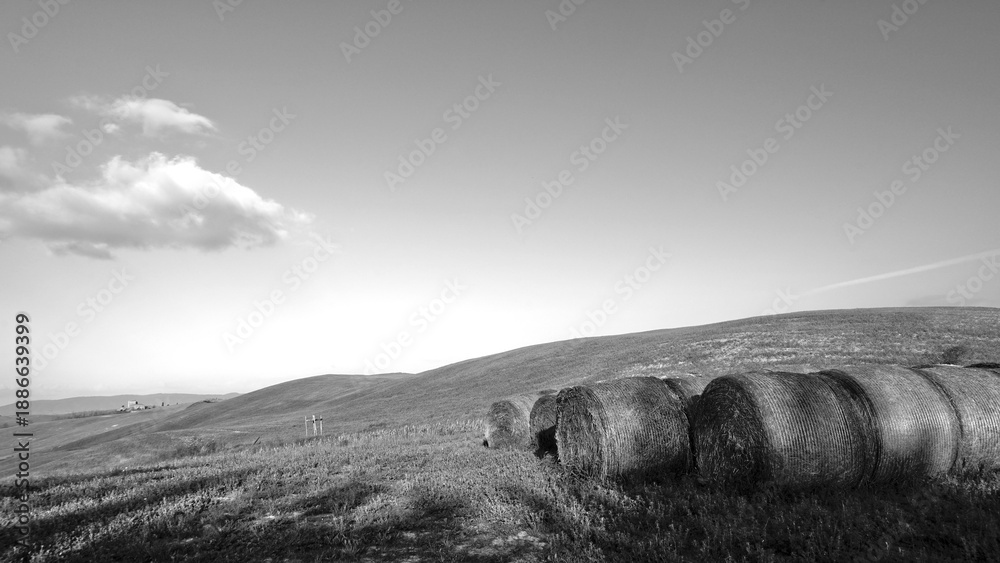 Fototapeta premium Italia panorami della Toscana in bianco e nero. Provincia di Siena,Val D'Orcia e Chianti Senese. Toscana, Italia 