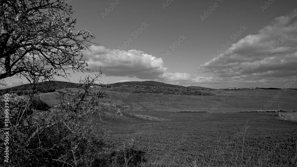Fototapeta premium Italia panorami della Toscana in bianco e nero. Provincia di Siena,Val D'Orcia e Chianti Senese. Toscana, Italia 