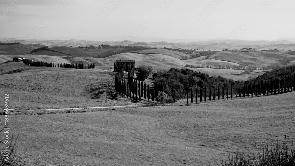 Fototapeta premium Italia panorami della Toscana in bianco e nero. Provincia di Siena,Val D'Orcia e Chianti Senese. Toscana, Italia 
