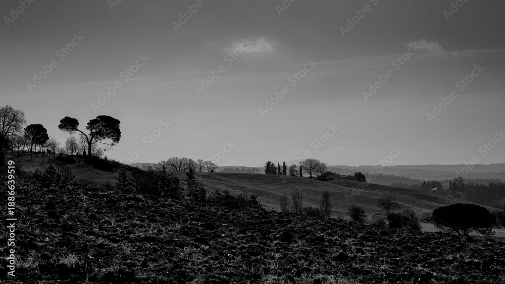 Fototapeta premium Italia panorami della Toscana in bianco e nero. Provincia di Siena,Val D'Orcia e Chianti Senese. Toscana, Italia