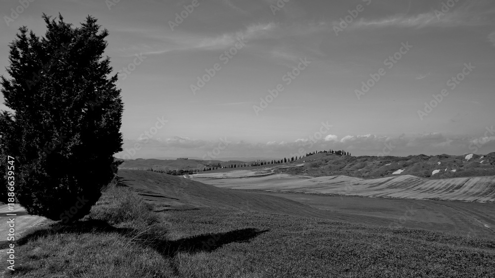 Fototapeta premium Italia panorami della Toscana in bianco e nero. Provincia di Siena,Val D'Orcia e Chianti Senese. Toscana, Italia 