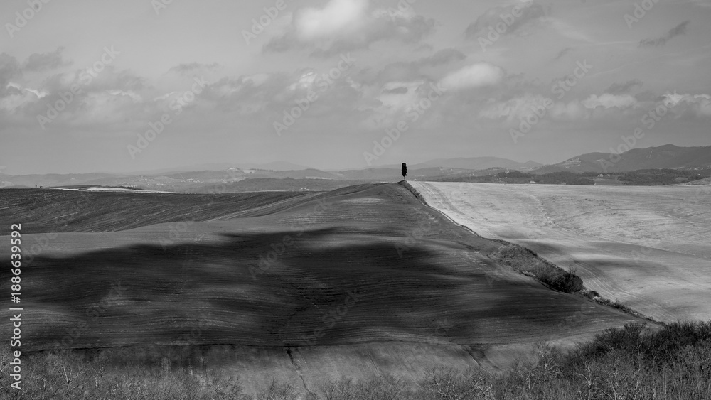 Fototapeta premium Italia panorami della Toscana in bianco e nero. Provincia di Siena,Val D'Orcia e Chianti Senese. Toscana, Italia 