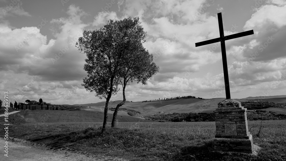 Obraz premium Italia panorami della Toscana in bianco e nero. Provincia di Siena,Val D'Orcia e Chianti Senese. Toscana, Italia 