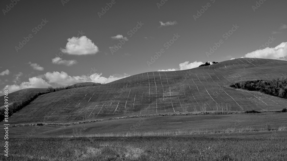 Naklejka premium Italia panorami della Toscana in bianco e nero. Provincia di Siena,Val D'Orcia e Chianti Senese. Toscana, Italia 