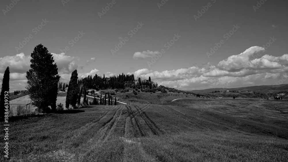Obraz premium Italia panorami della Toscana in bianco e nero. Provincia di Siena,Val D'Orcia e Chianti Senese. Toscana, Italia 