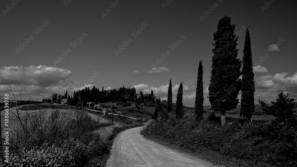 Fototapeta premium Italia panorami della Toscana in bianco e nero. Provincia di Siena,Val D'Orcia e Chianti Senese. Toscana, Italia 