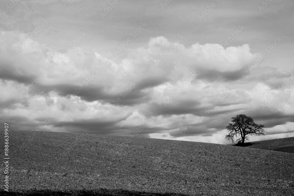 Obraz premium Italia panorami della Toscana in bianco e nero. Provincia di Siena,Val D'Orcia e Chianti Senese. Toscana, Italia 