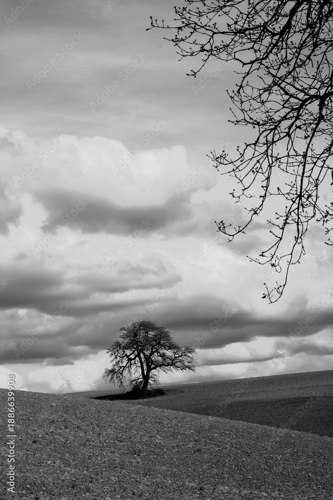 Naklejka premium Italia panorami della Toscana in bianco e nero. Provincia di Siena,Val D'Orcia e Chianti Senese. Toscana, Italia 