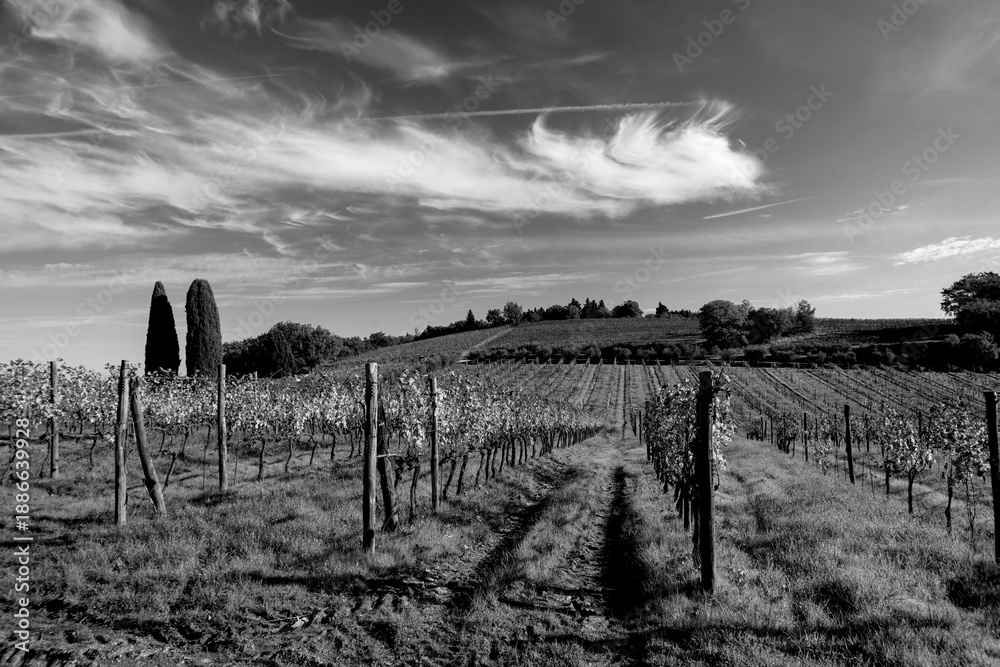Obraz premium Italia panorami della Toscana in bianco e nero. Provincia di Siena,Val D'Orcia e Chianti Senese. Toscana, Italia 