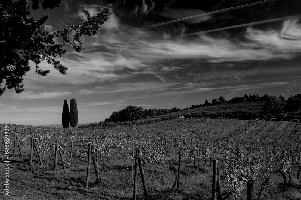 Fototapeta premium Italia panorami della Toscana in bianco e nero. Provincia di Siena,Val D'Orcia e Chianti Senese. Toscana, Italia 