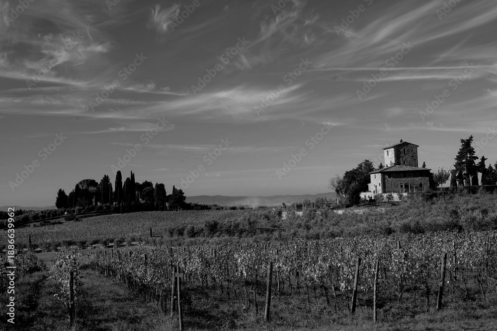 Naklejka premium Italia panorami della Toscana in bianco e nero. Provincia di Siena,Val D'Orcia e Chianti Senese. Toscana, Italia 