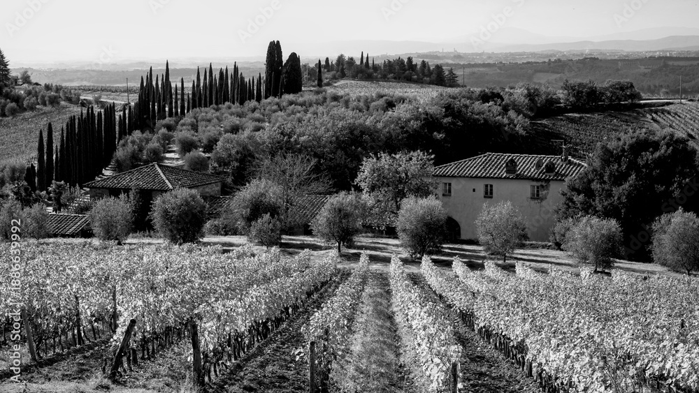 Obraz premium Italia panorami della Toscana in bianco e nero. Provincia di Siena,Val D'Orcia e Chianti Senese. Toscana, Italia 