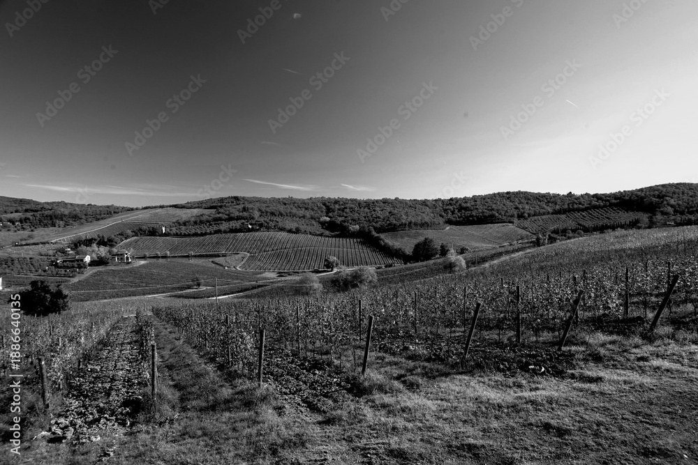 Obraz premium Italia panorami della Toscana in bianco e nero. Provincia di Siena,Val D'Orcia e Chianti Senese. Toscana, Italia 