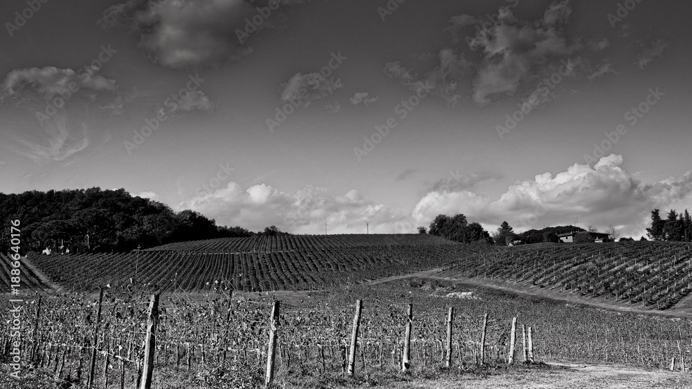 Obraz premium Italia panorami della Toscana in bianco e nero. Provincia di Siena,Val D'Orcia e Chianti Senese. Toscana, Italia 