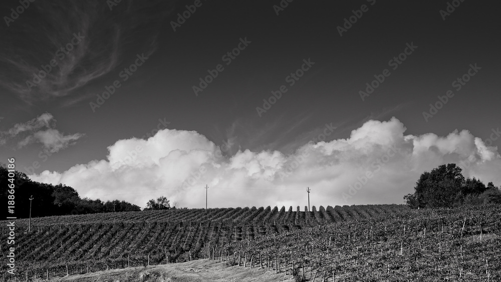 Naklejka premium Italia panorami della Toscana in bianco e nero. Provincia di Siena,Val D'Orcia e Chianti Senese. Toscana, Italia 