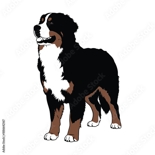 Illustration of a Bernese Mountain dog standing proudly with a calm expression viewed from the side
