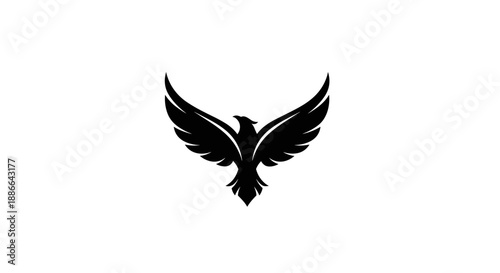 Striking Black Eagle Silhouette with Wings Spread Wide.