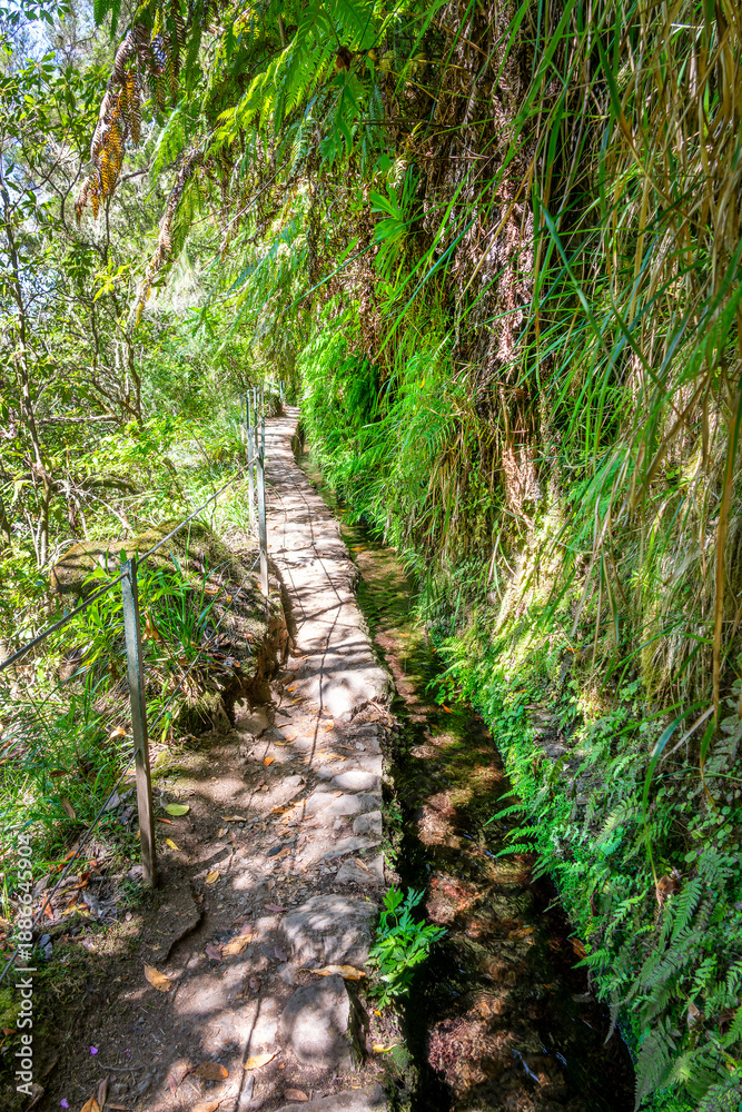 Obraz premium Narrow trail along levada Caldeirao Verde (irrigation canal) in the island of Madeira, Portugal