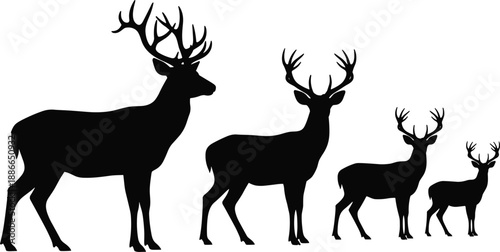 Five black male deer silhouettes with antlers in descending size, ideal for wildlife, nature, growth stages, or animal comparison-themed visual design.