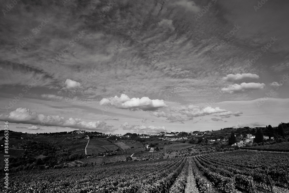 Naklejka premium Italia panorami della Toscana in bianco e nero. Provincia di Siena,Val D'Orcia e Chianti Senese. Toscana, Italia 