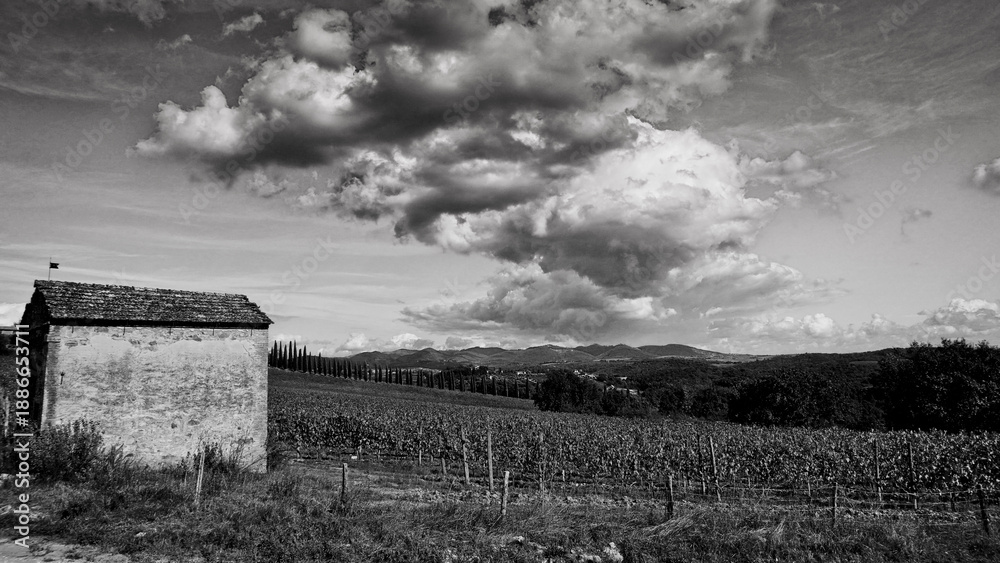 Obraz premium Italia panorami della Toscana in bianco e nero. Provincia di Siena,Val D'Orcia e Chianti Senese. Toscana, Italia 
