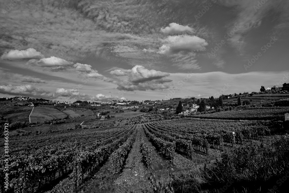 Naklejka premium Italia panorami della Toscana in bianco e nero. Provincia di Siena,Val D'Orcia e Chianti Senese. Toscana, Italia 