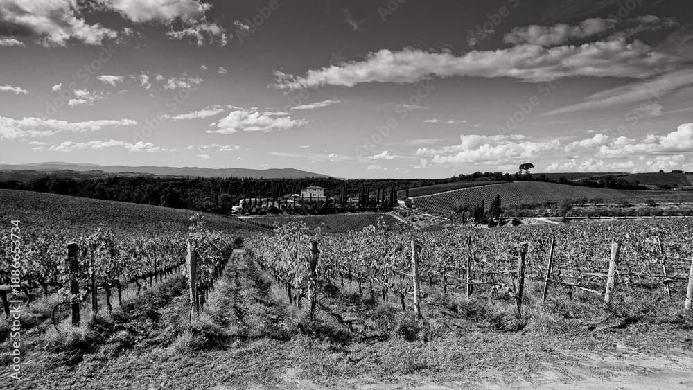 Fototapeta premium Italia panorami della Toscana in bianco e nero. Provincia di Siena,Val D'Orcia e Chianti Senese. Toscana, Italia 