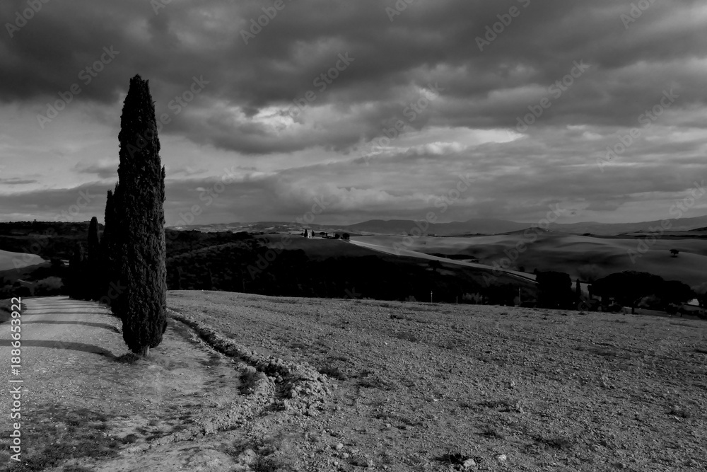 Fototapeta premium Italia panorami della Toscana in bianco e nero. Provincia di Siena,Val D'Orcia e Chianti Senese. Toscana, Italia 