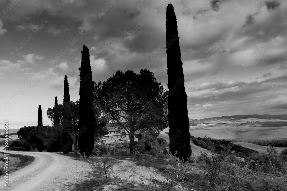 Naklejka premium Italia panorami della Toscana in bianco e nero. Provincia di Siena,Val D'Orcia e Chianti Senese. Toscana, Italia 
