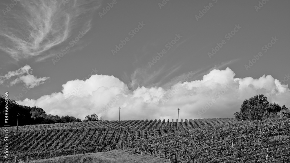 Fototapeta premium Italia panorami della Toscana in bianco e nero. Provincia di Siena,Val D'Orcia e Chianti Senese. Toscana, Italia 