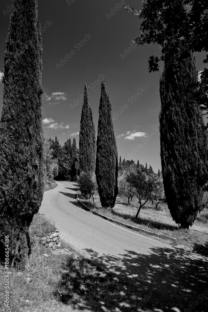 Fototapeta premium Italia panorami della Toscana in bianco e nero. Provincia di Siena,Val D'Orcia e Chianti Senese. Toscana, Italia 