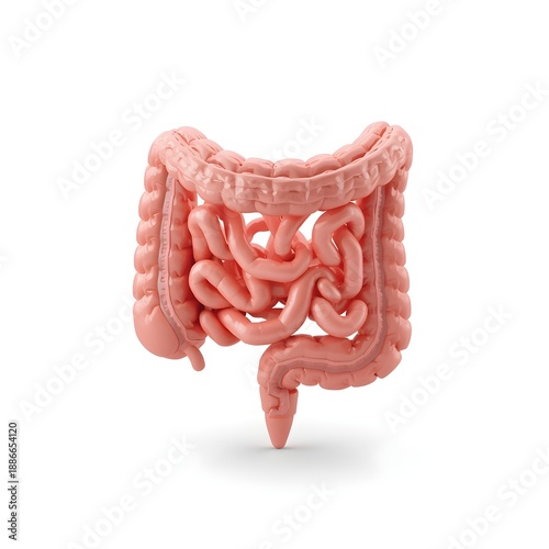 Small intestine 3d structure on white background created with generative ai