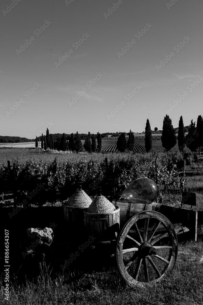 Naklejka premium Italia panorami della Toscana in bianco e nero. Provincia di Siena,Val D'Orcia e Chianti Senese. Toscana, Italia 
