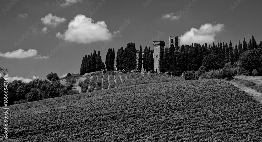 Naklejka premium Italia panorami della Toscana in bianco e nero. Provincia di Siena,Val D'Orcia e Chianti Senese. Toscana, Italia 