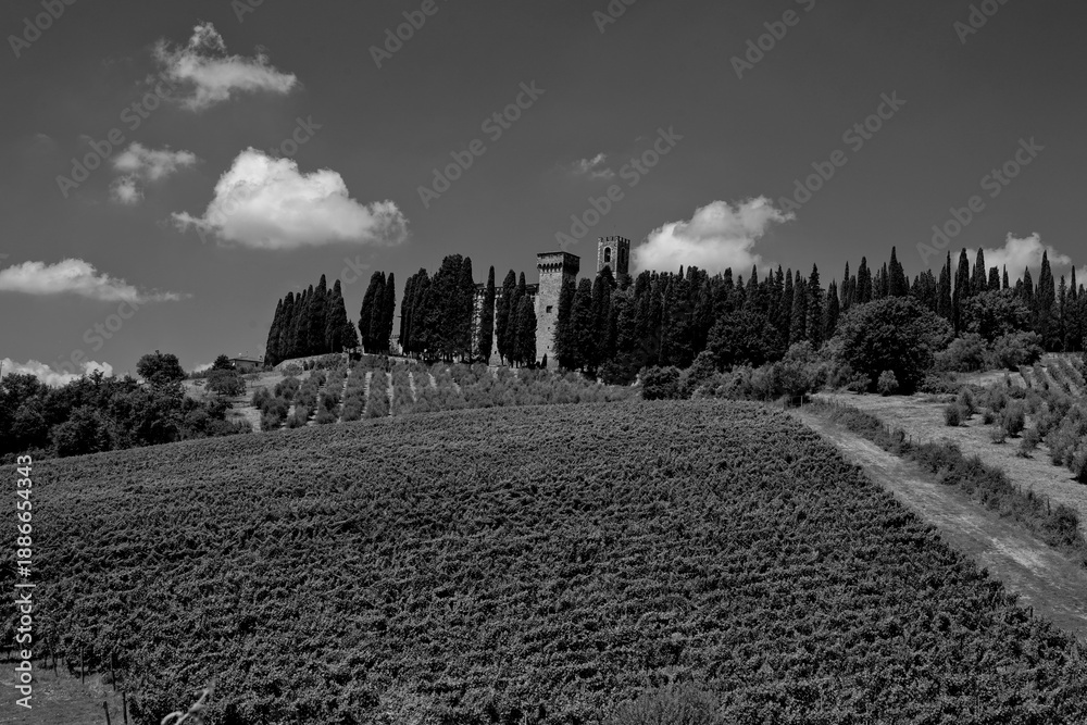Naklejka premium Italia panorami della Toscana in bianco e nero. Provincia di Siena,Val D'Orcia e Chianti Senese. Toscana, Italia 