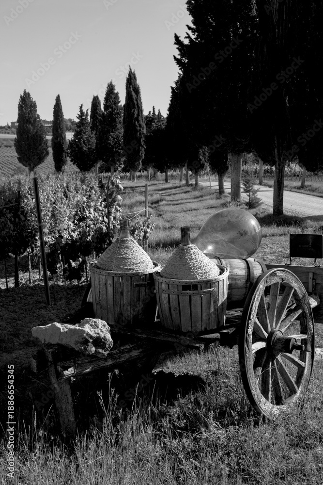 Obraz premium Italia panorami della Toscana in bianco e nero. Provincia di Siena,Val D'Orcia e Chianti Senese. Toscana, Italia 