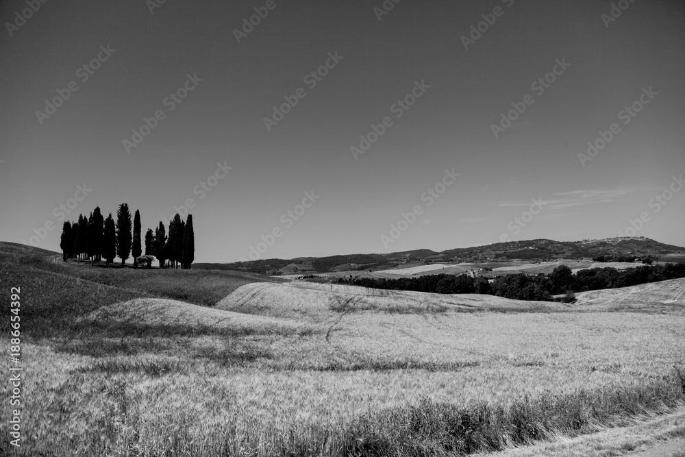 Fototapeta premium Italia panorami della Toscana in bianco e nero. Provincia di Siena,Val D'Orcia e Chianti Senese. Toscana, Italia 