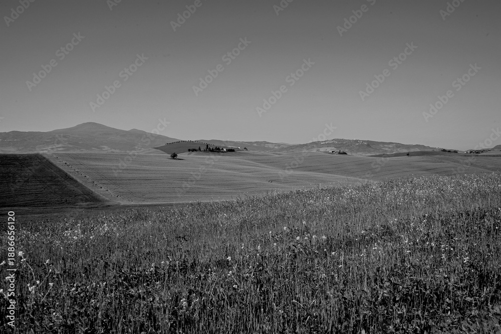 Obraz premium Italia panorami della Toscana in bianco e nero. Provincia di Siena,Val D'Orcia e Chianti Senese. Toscana, Italia 