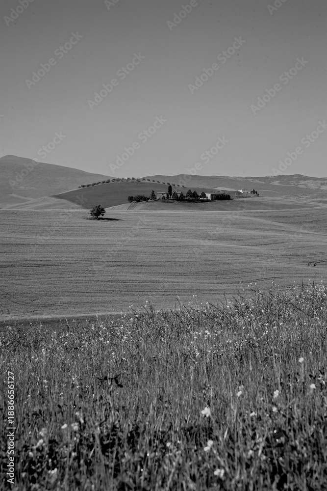 Naklejka premium Italia panorami della Toscana in bianco e nero. Provincia di Siena,Val D'Orcia e Chianti Senese. Toscana, Italia 