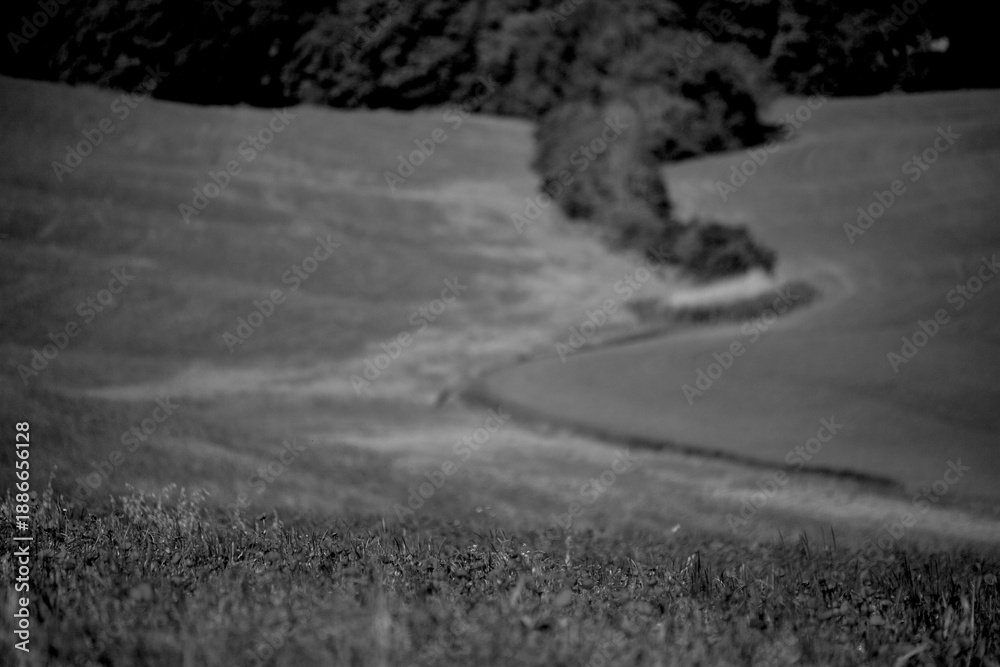 Fototapeta premium Italia panorami della Toscana in bianco e nero. Provincia di Siena,Val D'Orcia e Chianti Senese. Toscana, Italia 
