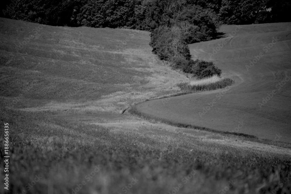 Obraz premium Italia panorami della Toscana in bianco e nero. Provincia di Siena,Val D'Orcia e Chianti Senese. Toscana, Italia 