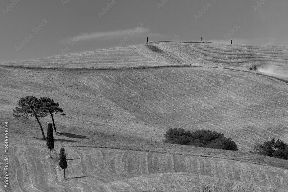 Naklejka premium Italia panorami della Toscana in bianco e nero. Provincia di Siena,Val D'Orcia e Chianti Senese. Toscana, Italia 